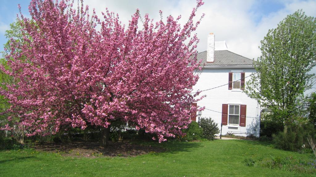 The Artist'S Inn And Gallery Terre Hill 外观 照片