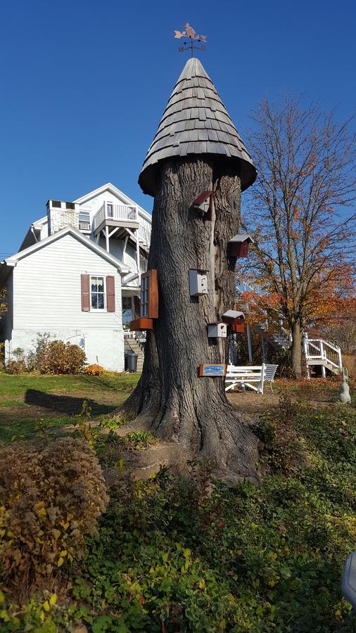 The Artist'S Inn And Gallery Terre Hill 外观 照片